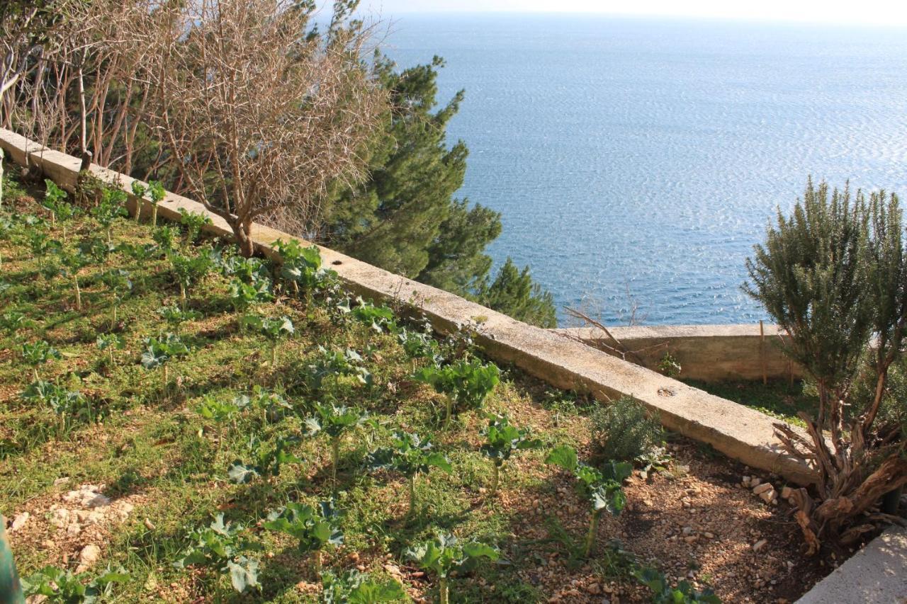 Apartments By The Sea Marusici, Omis - 8632 ミミツェ エクステリア 写真